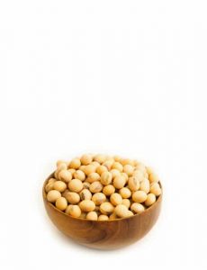 product17 free img 230x300.jpg