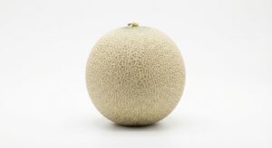 Melone Galia